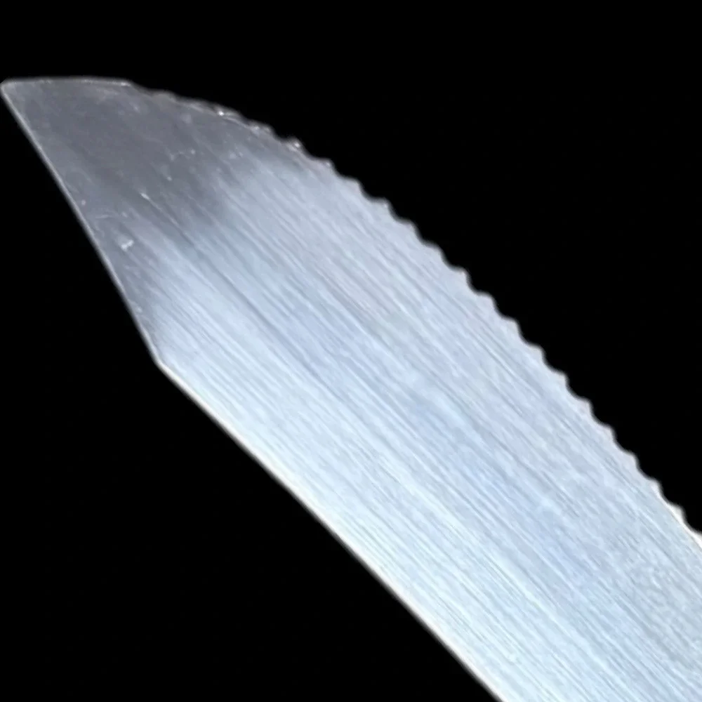 Serrated Butcher‎ Knife Stainless Steel Japan Wood Handle